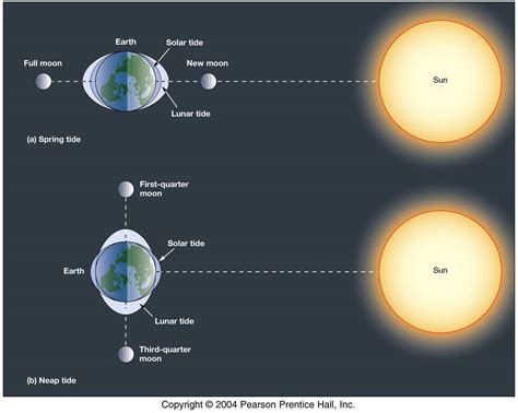 月球远离地球的真相：每年3至4厘米的速度远离地球|月球|地球|潮汐_新浪新闻