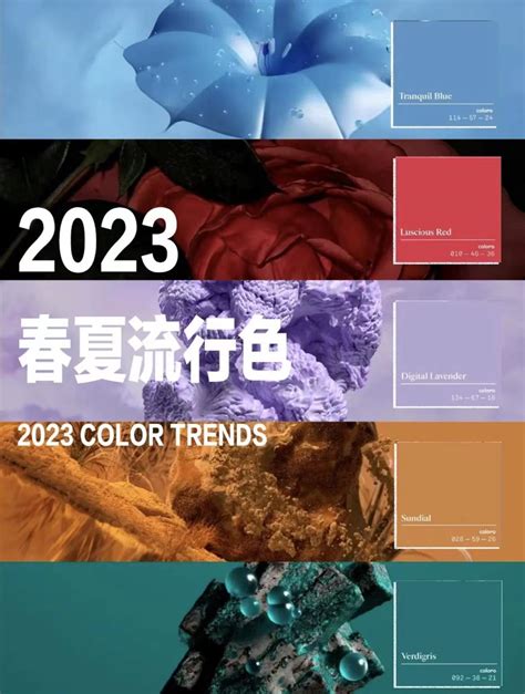 2023春夏流行趋势风格丨五大关键流行色彩你知道吗？ - 知乎