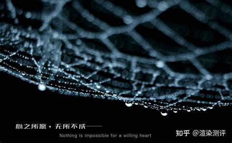企业组网 - 智能云网 - 北京蜘蛛云网科技有限公司