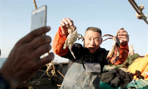 青岛“网红”渔民直播出海捕鱼，一个月卖出3000多斤海鲜