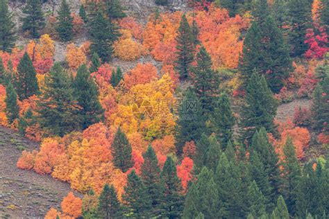 爱达荷州蛇河峡谷秋季风景高清图片下载-正版图片504399270-摄图网