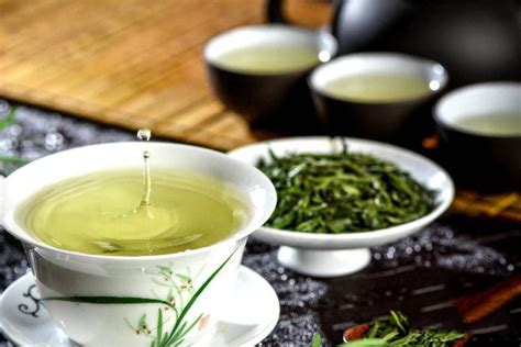 福建茶盆景的精品鉴赏与制作养护 - 知乎