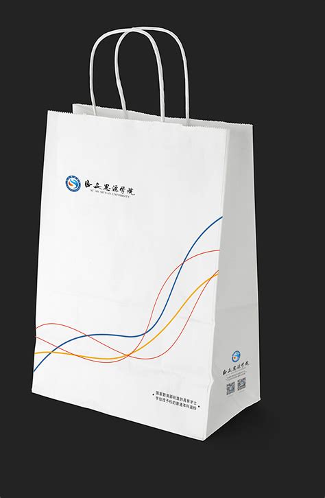 企业商务手提袋VI设计|平面|包装|毛阿一 - 原创作品 - 站酷 (ZCOOL)