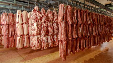 屠宰场准备加工的猪肉胴体高清图片下载-正版图片502584435-摄图网