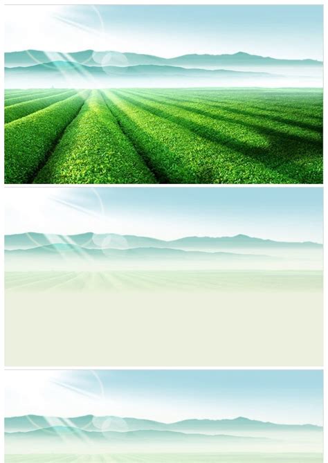 简约绿色创意大气背景背景图片素材免费下载_熊猫办公