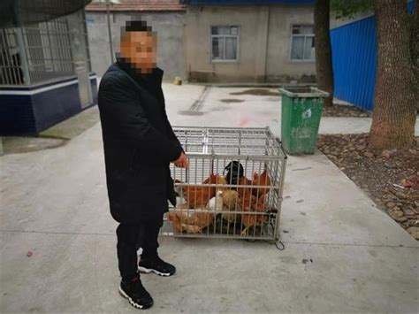 男子驾车趁夜色偷鸡 被巡逻民警抓个正着- 荆州区人民政府网