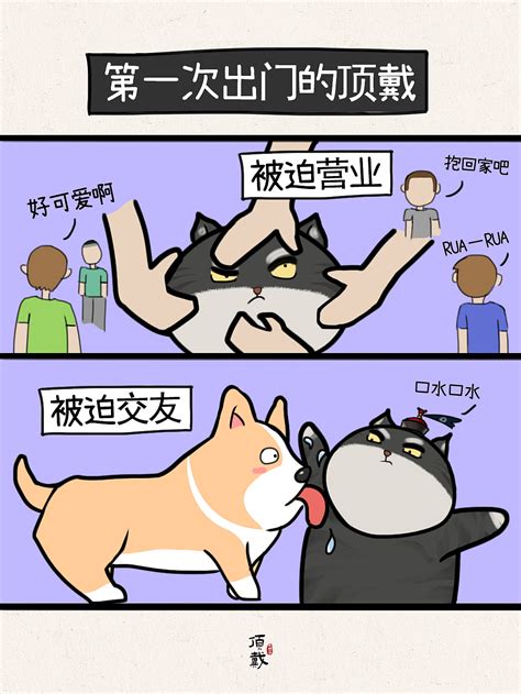 猫咪日常-小漫画|插画|商业插画|炉子luzi - 原创作品 - 站酷 (ZCOOL)