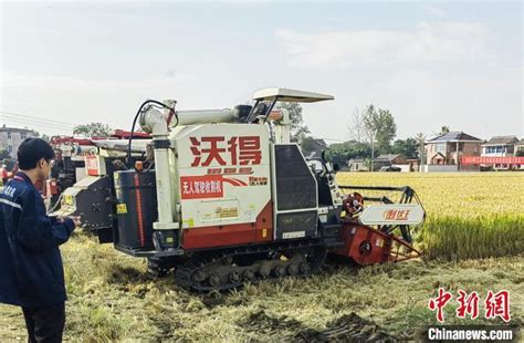 （乡村行·看振兴）江苏扬州广陵沙头镇深挖无人化种植新路径 400亩农场一人管理_凤凰网