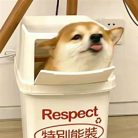 爱国非主流头像