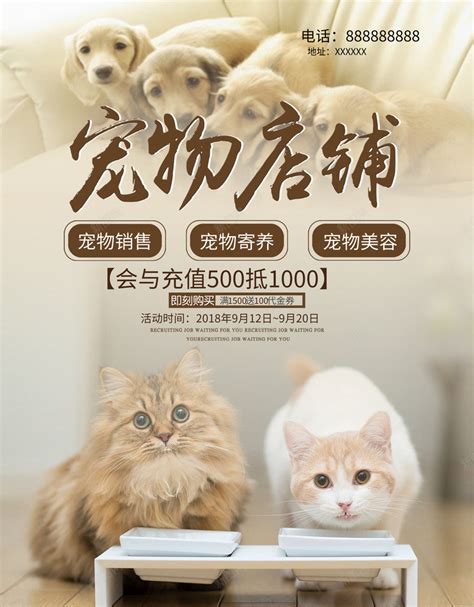 宠物店设计案例效果图_装饰设计师景观设计师_美国室内设计中文网博客