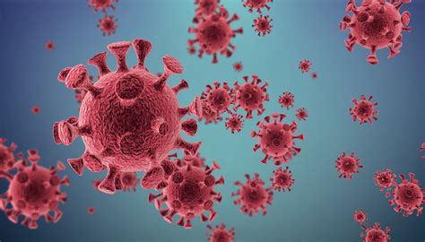 美国所有传染病专家达成共识：新冠病毒将在18个月内感染20-60％的人口，我们该怎么准备……__财经头条