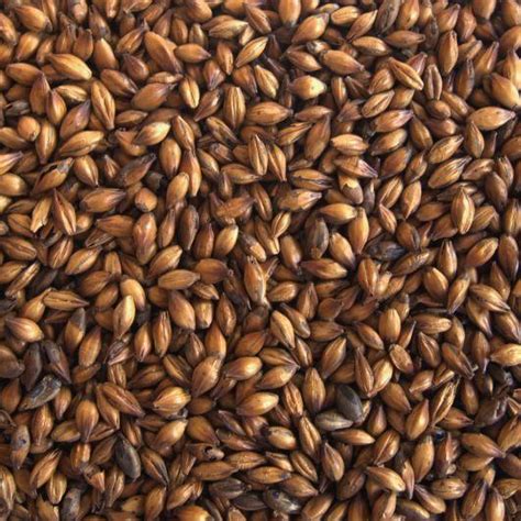 麦芽 稻芽 浮小麦 大麦芽 焦麦芽 中药材麦芽 炒麦芽 产地货源-阿里巴巴