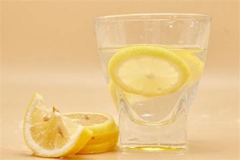 柠檬和菊花泡水的功效与禁忌-最新柠檬和菊花泡水的功效与禁忌整理解答-全查网