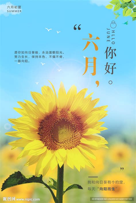 六月的天空图片