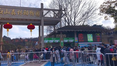2018南京红山森林动物园_旅游攻略_门票_地址_游记点评,南京旅游景点推荐 - 去哪儿攻略社区