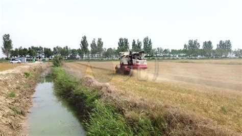 河北平乡：无人机对小麦进行“一喷三防”作业-人民图片网