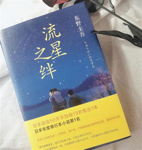 东野圭吾最佳十部作品(最好看最值得看的10本小说) - 千梦