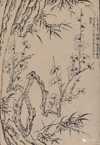 元 王冕 《墨梅图》上海博物馆藏 - 堆糖，美图壁纸兴趣社区