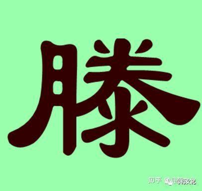 滕-汉字的艺术与中华姓氏文化荀卿庠整理 - 知乎