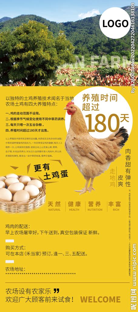 [三黄鸡批发] 信宜走地鸡 三黄鸡 土鸡价格13元/斤 - 惠农网