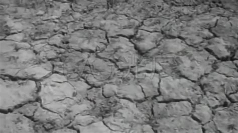 这个地方76年前爆发了千年一遇的旱灾，损失之重，没人敢上报！|粮食|旱灾|李培基_新浪新闻