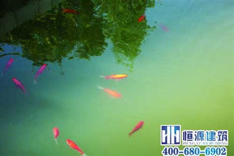 鱼池水处理江苏徐州别墅庭院景观水处理设备浓绿水解决方案-阿里巴巴
