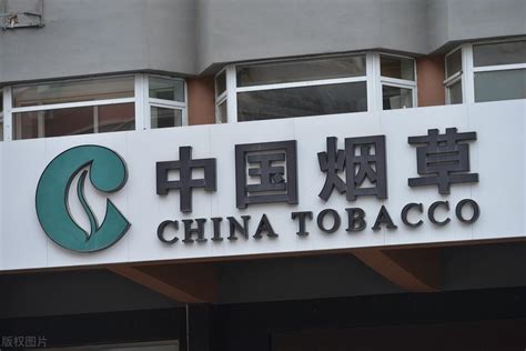 中国烟草一年纳税多少亿(一年纳税超过1.35万亿)-风水人