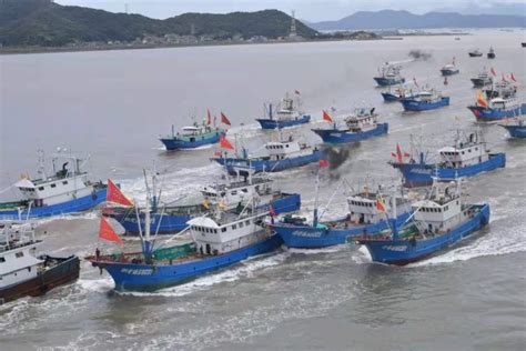 浙江舟山：回港避风的渔船带回大量海鲜-人民图片网