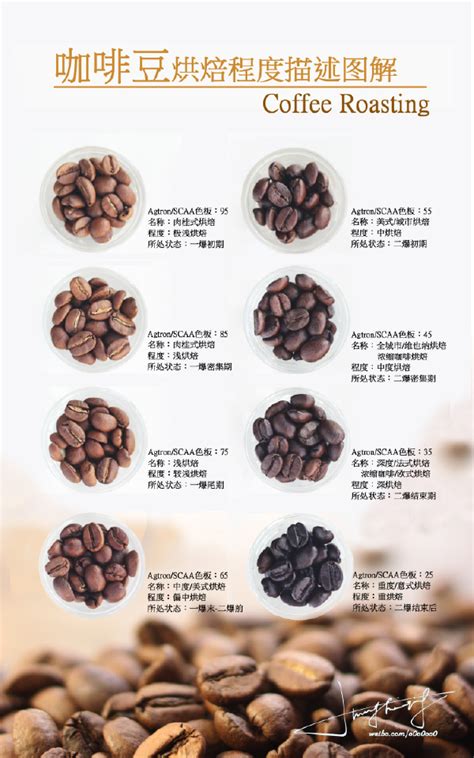 咖啡入门，你必须知道的4 种咖啡豆烘焙类型 - 咖啡指南