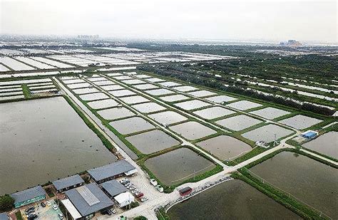 水产养殖是不是养殖密度越高效益就越高呢_广州环控农业生物科技有限公司