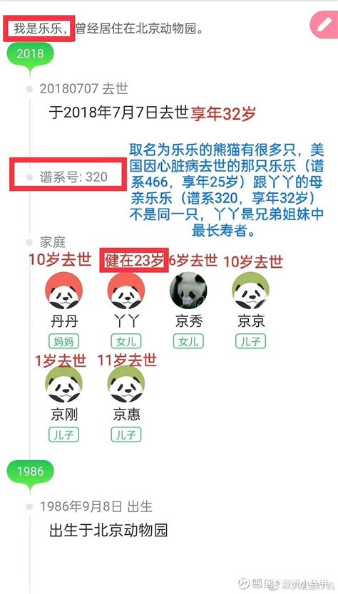 在美华人探望“丫丫”：没见过这么瘦的大熊猫，抑郁了很久_凤凰网视频_凤凰网