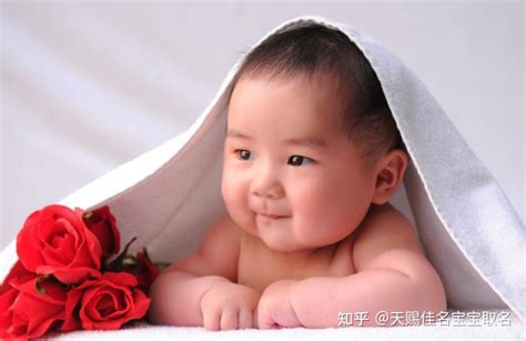 1200万宝宝姓名大数据图解：2020中国宝宝起名趋势-起名网