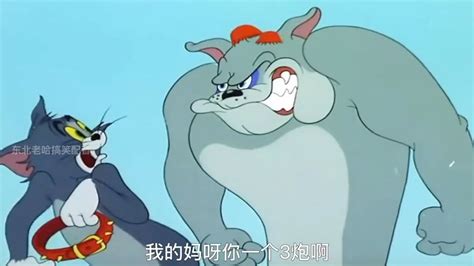 悲催的图片