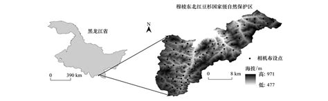 行情宝-国家生猪市场2018年第50周（交易）价格指数分析