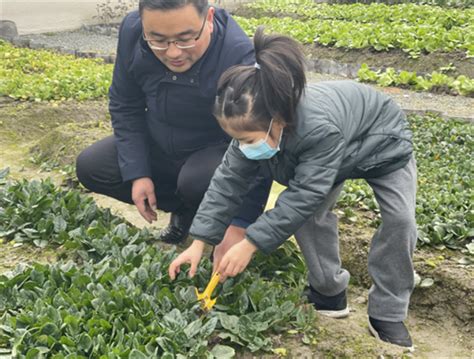 珠海园区举行义务植树活动-北京师范大学珠海分校 新闻网