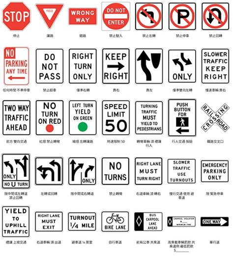 🌱 Importance of traffic lights for kids. Traffic Signs and Traffic ...