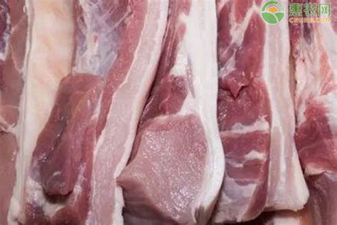 2024年1月猪肉价格多少钱一斤？ - 惠农网