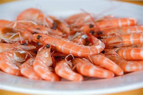 男人吃虾可补肾 虾的7种做法_饮食保健_男科_99健康网