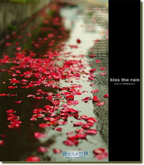 细心品味雨的心情——钢琴曲推荐 Kiss The Rain 《雨的印记》 | 异次元软件下载