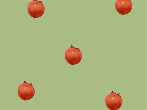 自然 果树 柿子 橙 水果 树图片免费下载 - 觅知网