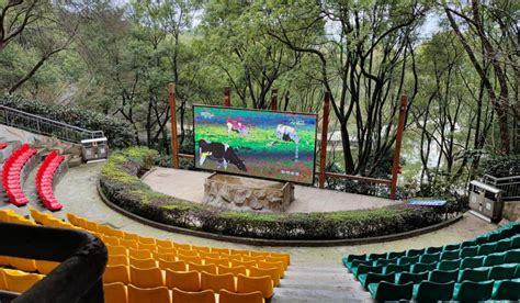 第31届“保护野生动物宣传月”活动在深圳野生动物园启动