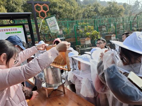 杭州临平归蜜农场蜜蜂科普示范基地迎来首批参观者