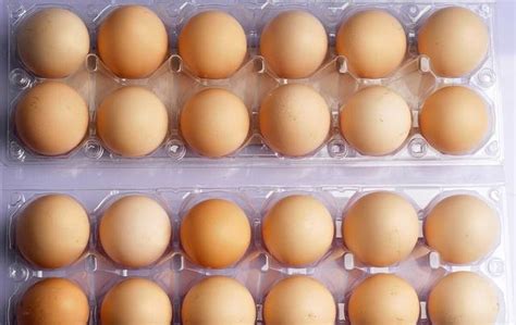 买鸡蛋怎样识别人造鸡蛋真假「详细介绍：辨别人造蛋的5大绝招」 - 遇奇吧