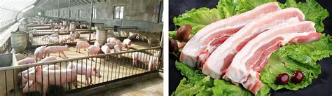 猪肉品牌排行榜猪肉十大品牌，国产猪肉品牌排行榜