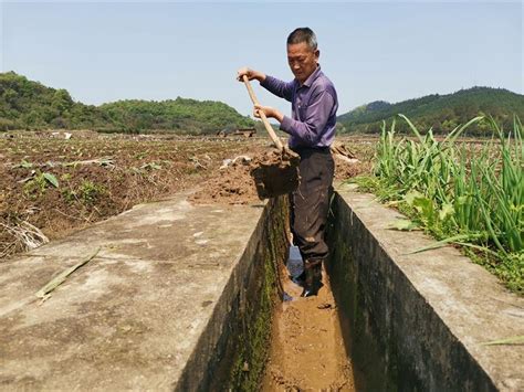 老翁义务清水渠 - 系列报道 - 新时代文明实践在桂阳 - 华声在线专题