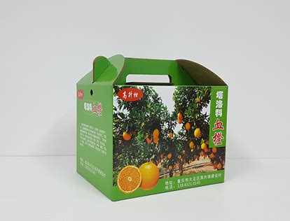 箱盒汇主创“森林甜橙”橙子礼盒包装设计|平面|包装|箱盒汇网 - 原创作品 - 站酷 (ZCOOL)