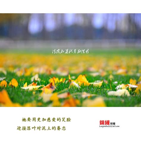 【清风知道秋叶的深情2摄影图片】上海·浦东世纪公园风光摄影_太平洋电脑网摄影部落