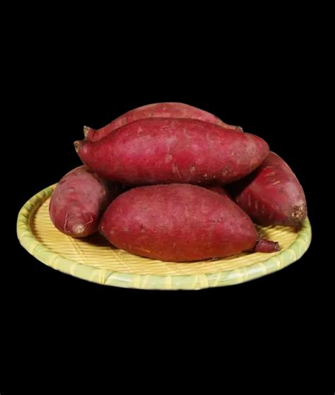 红薯新鲜日本玛莎莉红薯引种超甜黄心蜜薯代餐 5斤装精选中果_虎窝淘