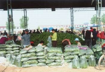 【西安东二环糖酒食品批发市场】地址在哪里怎么走_西安东二环糖酒食品批发市场拿货攻略_营业时间几点开门_53货源网