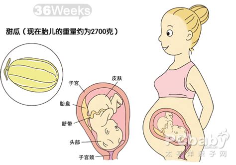 【怎样才能怀孕】_怎样才能怀上孕_怎样才能知道怀孕_快速怀孕的方法 － 家庭医生在线专题
